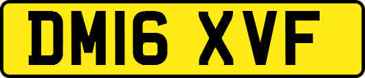 DM16XVF