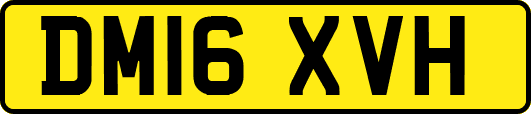 DM16XVH