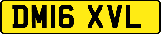 DM16XVL