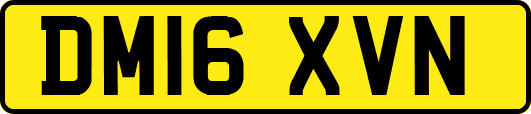 DM16XVN