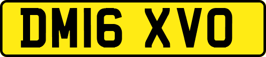 DM16XVO