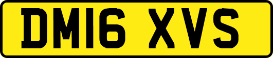 DM16XVS