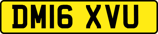 DM16XVU