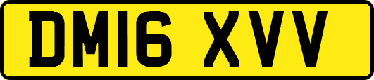 DM16XVV