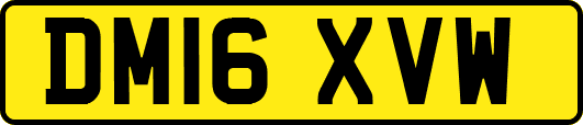 DM16XVW