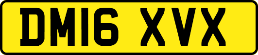 DM16XVX