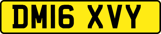 DM16XVY