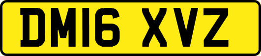 DM16XVZ