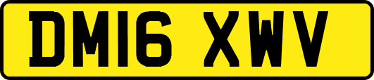 DM16XWV