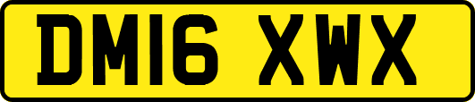 DM16XWX