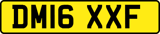 DM16XXF