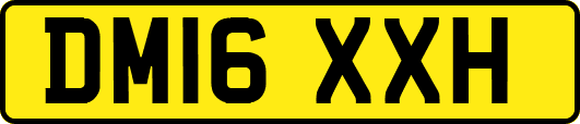 DM16XXH