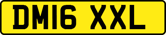 DM16XXL