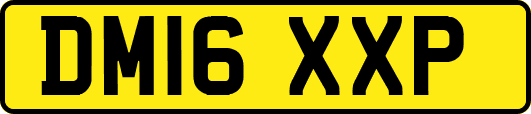 DM16XXP