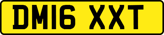 DM16XXT