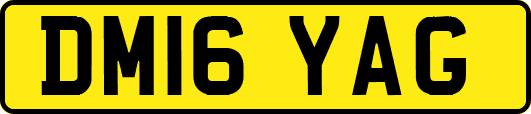DM16YAG