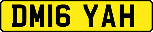 DM16YAH