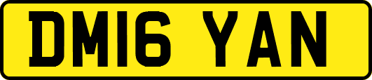 DM16YAN