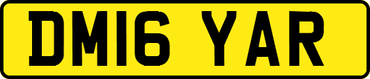 DM16YAR