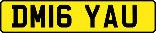 DM16YAU