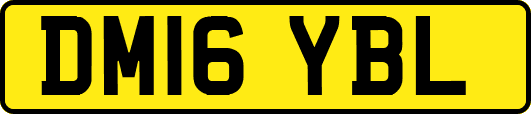 DM16YBL