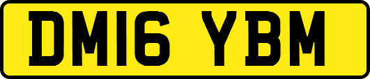 DM16YBM