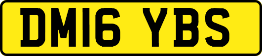 DM16YBS