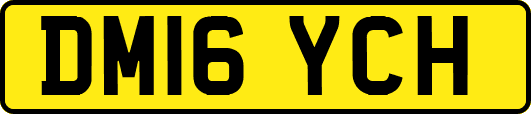 DM16YCH