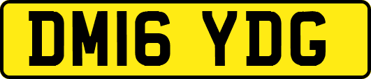 DM16YDG