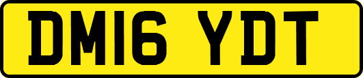 DM16YDT