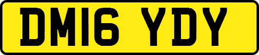 DM16YDY