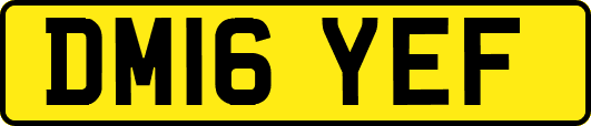 DM16YEF