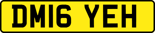 DM16YEH
