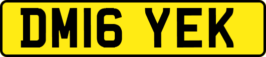 DM16YEK