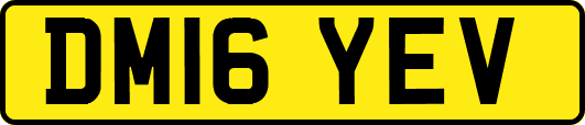 DM16YEV