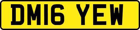 DM16YEW