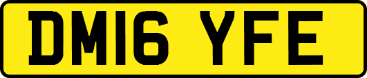 DM16YFE