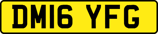 DM16YFG