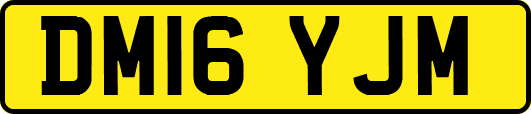DM16YJM