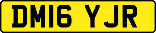 DM16YJR
