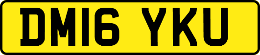 DM16YKU