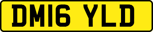 DM16YLD