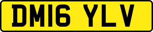DM16YLV