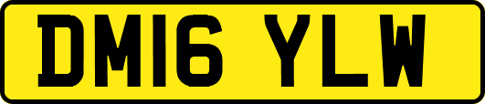DM16YLW