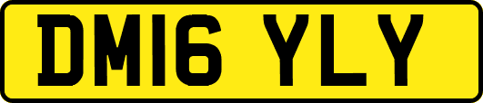 DM16YLY