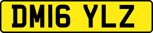 DM16YLZ