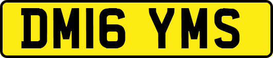 DM16YMS