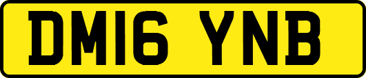 DM16YNB