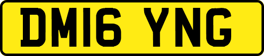 DM16YNG