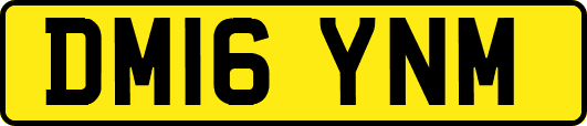 DM16YNM